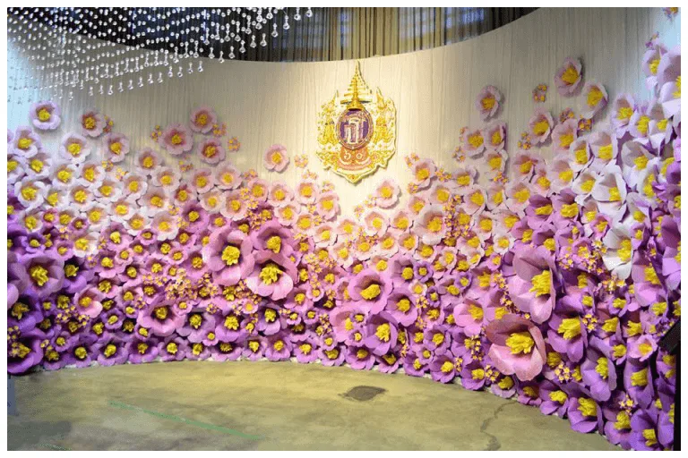 Sử dụng Backdrop màu tím