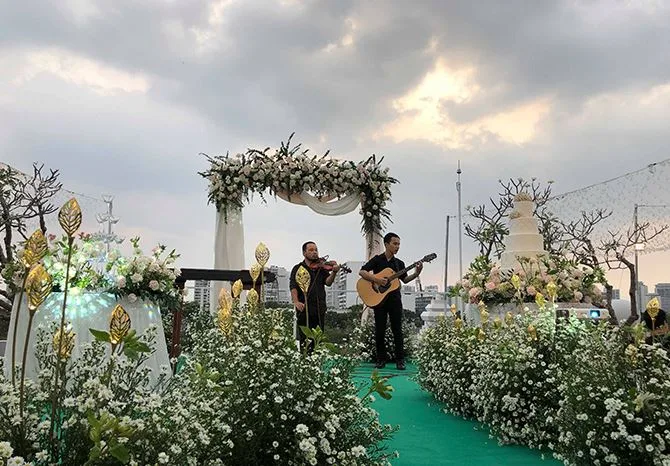 Cúc họa mi - loại hoa trang trí đám cưới