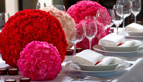 top những loại hoa trang trí đám cưới - cẩm chướng