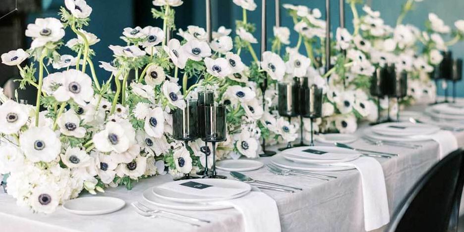 Hoa hải quỳ trang trí đám cưới