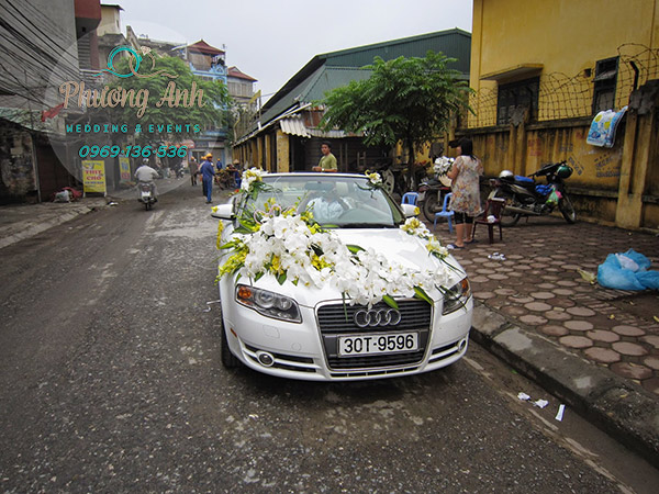 cho thuê xe cưới audi