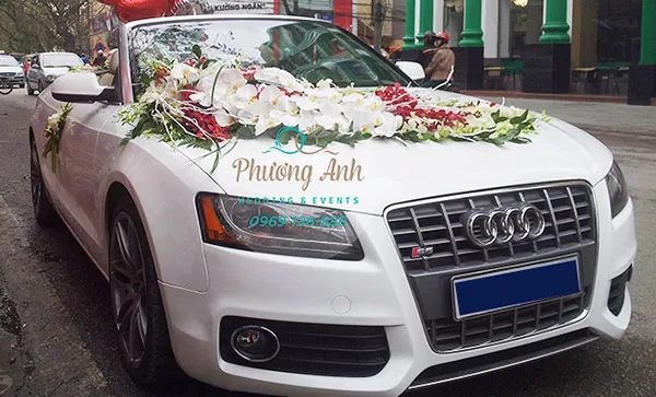 cho thuê xe cưới audi