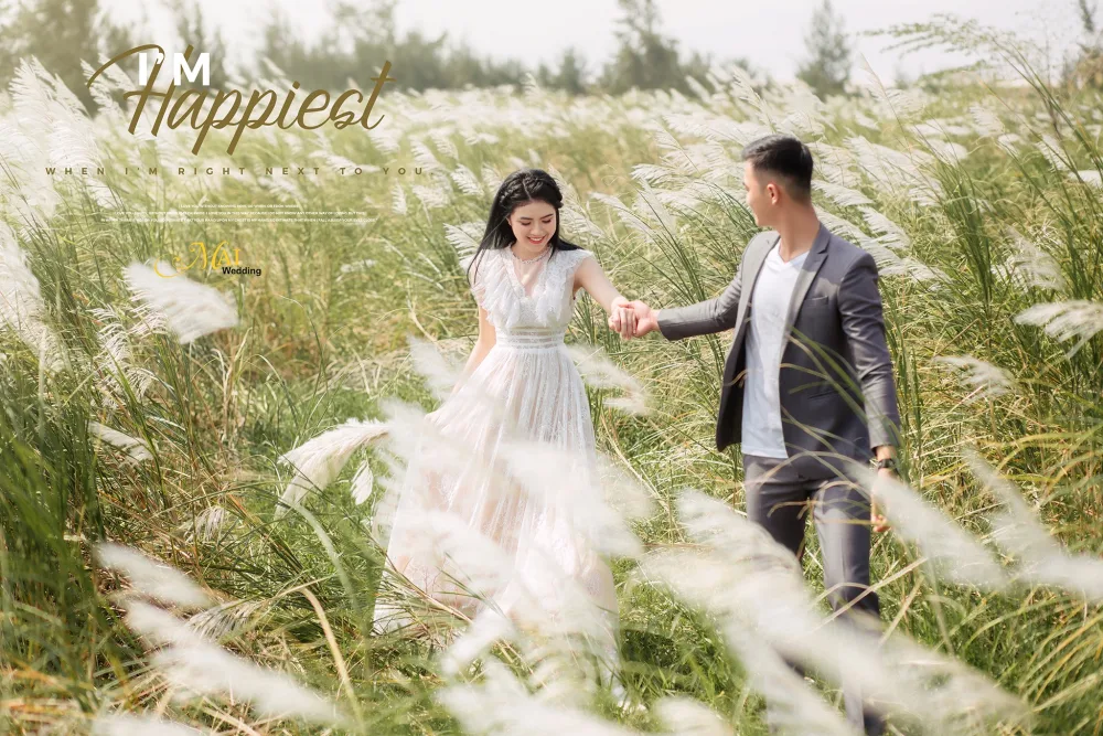 Chụp ảnh cưới ở đồi cỏ lau bạt ngàn