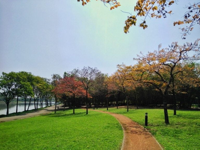 Bãi cỏ view hồ tại Công viên Yên Sở