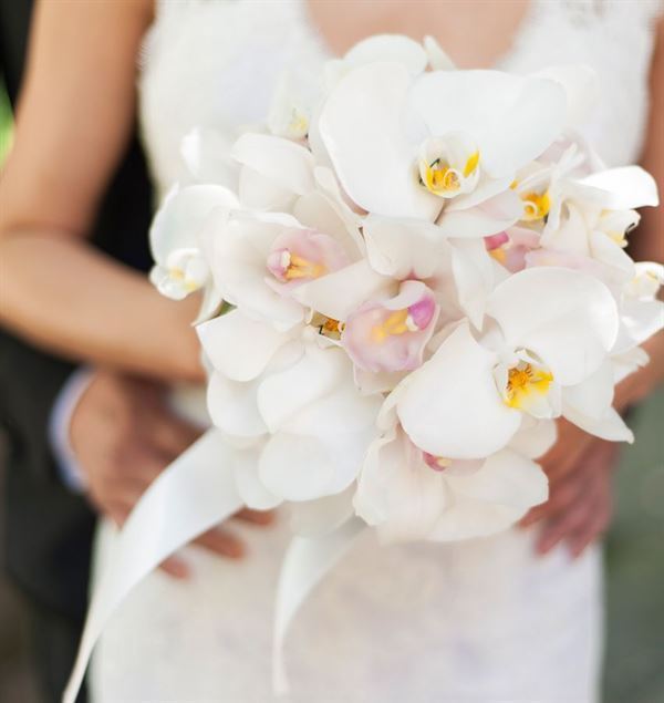 Bó hoa cầm tay cô dâu hoa lan   | Blog Cây Cảnh