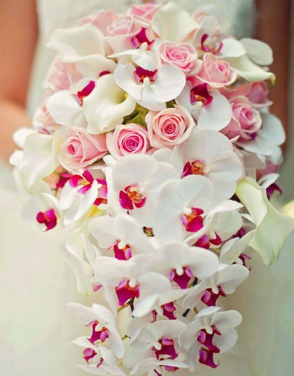 hoa lan cưới