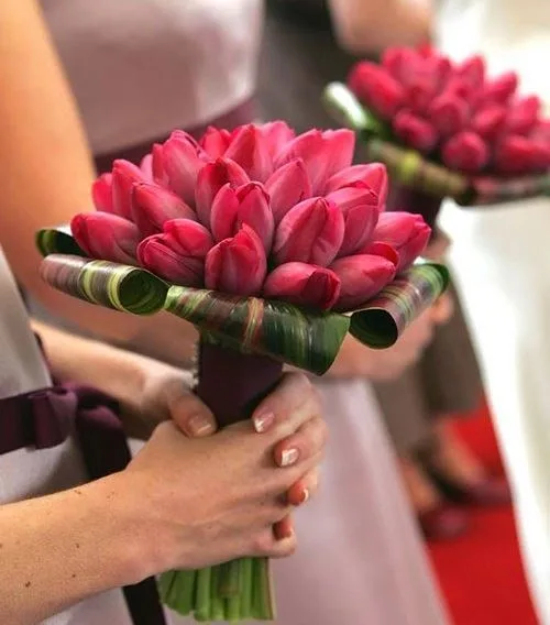 hoa sen cưới tím