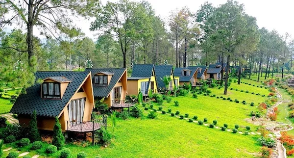 Hệ thống homestay thiết kế độc đáo, mới lạ, hòa mình vào thiên nhiên