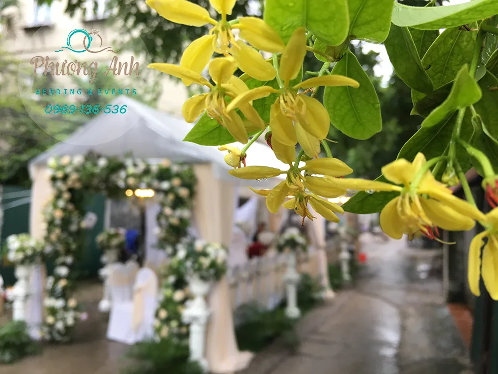 trang trí nhà bạt đám cưới