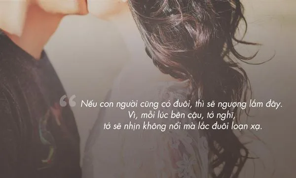 những câu tỏ tình hay