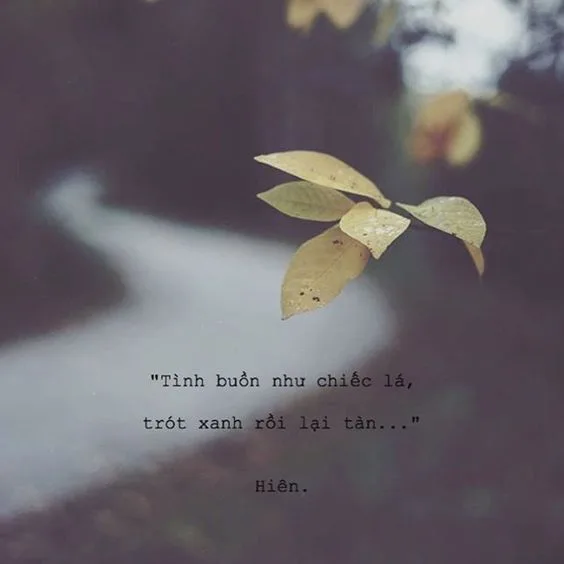 tình yêu buồn