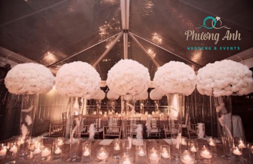 đám cưới trang trí hoa cẩm chướng