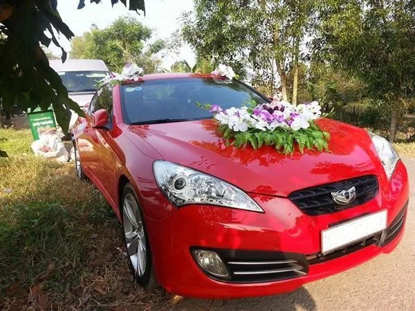 Hoặc đơn giản chỉ là kết hoa thành cụm ở giữa đầu xe như thế này