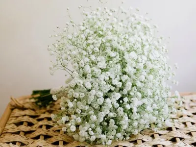 Bó hoa baby cầm tay cô dâu