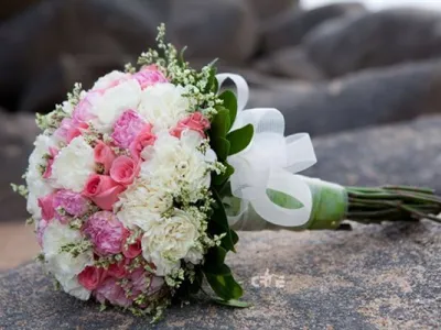 Bó hoa cưới cầm tay cô dâu cẩm chướng lỗng lẫy