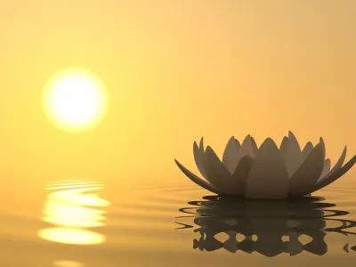 Những câu nói hay Phật dạy về tình yêu