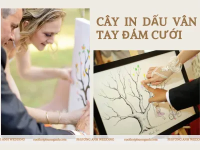 Cây in dấu vân tay đám cưới - Những điều thú vị chưa được bật mí  Cây in dấu vân tay đám cưới - Những điều thú vị chưa được bật mí
