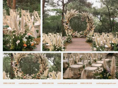 Top mẫu trang trí đám cưới bằng cỏ lau độc đáo, ấn tượng Top mẫu trang trí đám cưới bằng cỏ lau độc đáo, ấn tượng