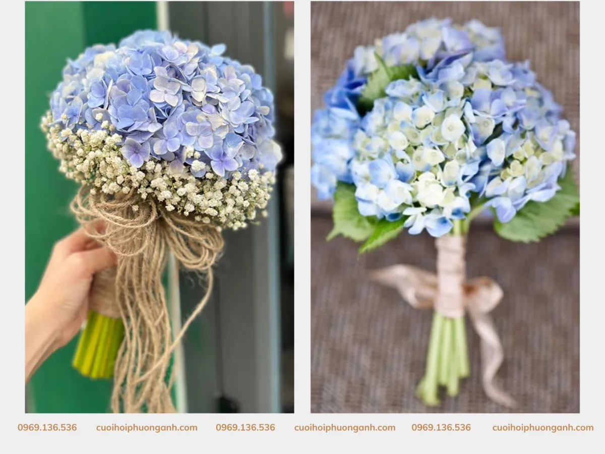 Hoa cưới cẩm tú cầu