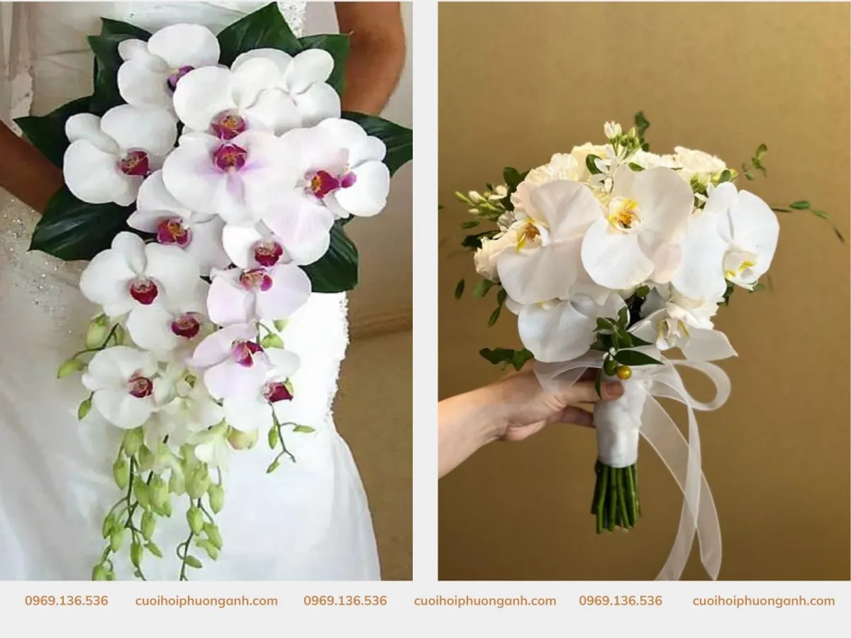 Hoa cầm tay cô dâu lan hồ điệp