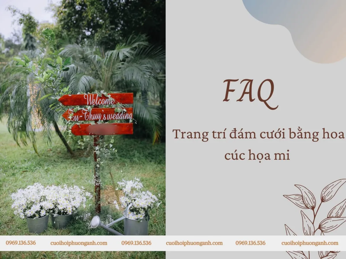 Câu hỏi thường gặp về trang trí đám cưới bằng hoa cúc họa mi