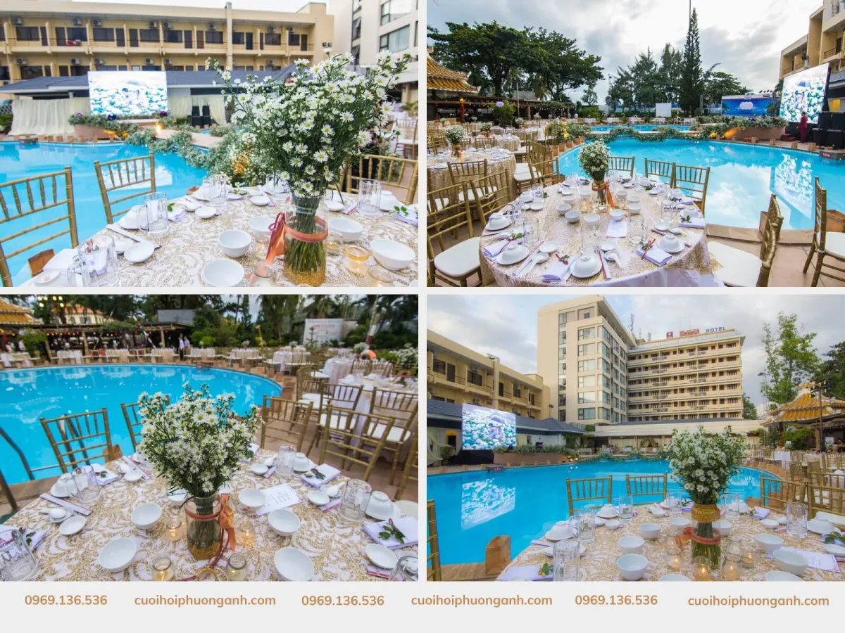 Hoa cúc họa mi trên bàn tiệc ghế ngồi