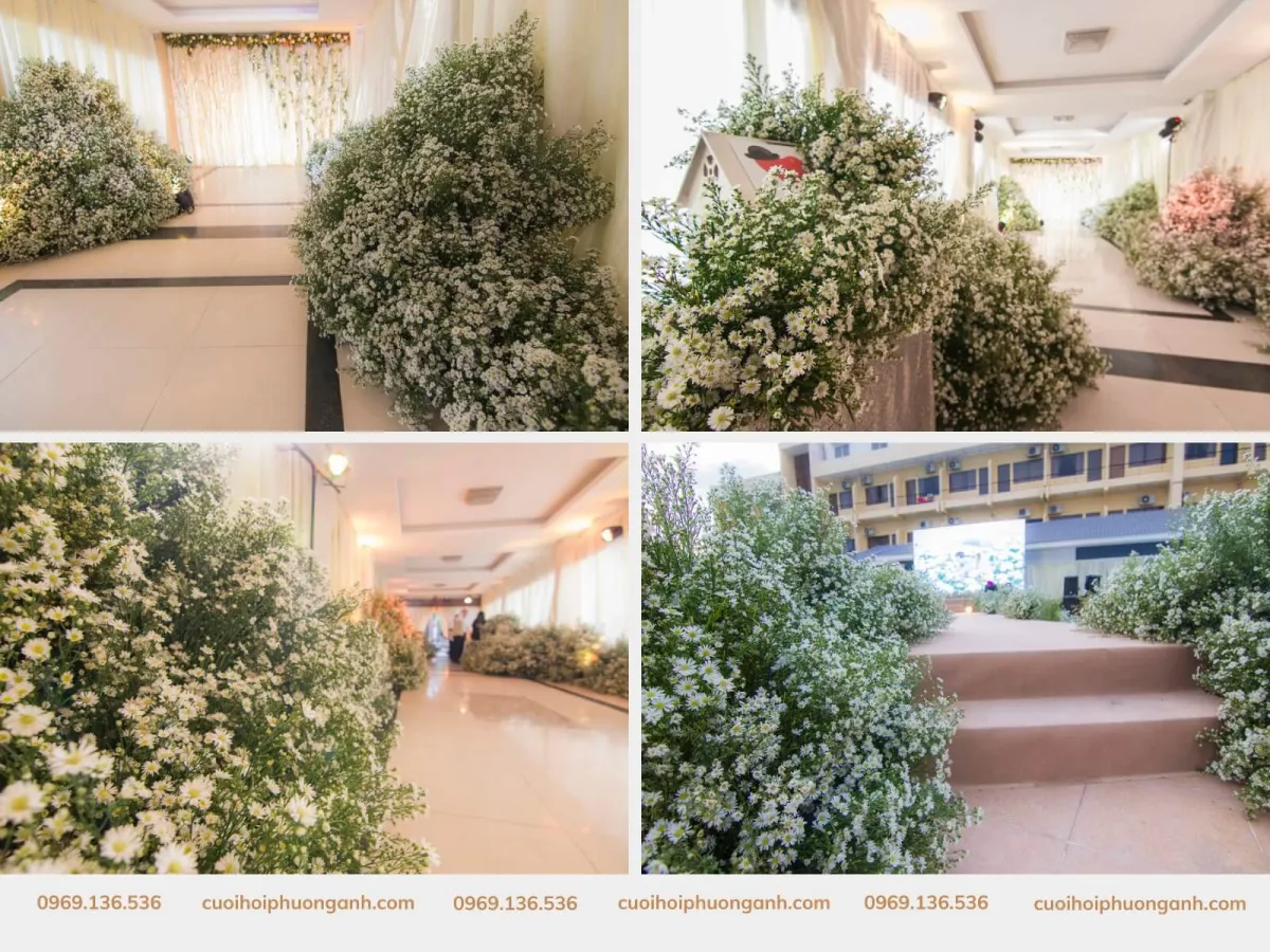 Sảnh tiệc ấn tượng với hoa cúc họa mi